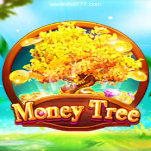 Exploring MoneyTree and the Benefits of DHD 777⭐️ in Brazil